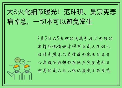 大S火化细节曝光！范玮琪、吴宗宪悲痛悼念，一切本可以避免发生
