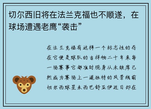 切尔西旧将在法兰克福也不顺遂，在球场遭遇老鹰“袭击”